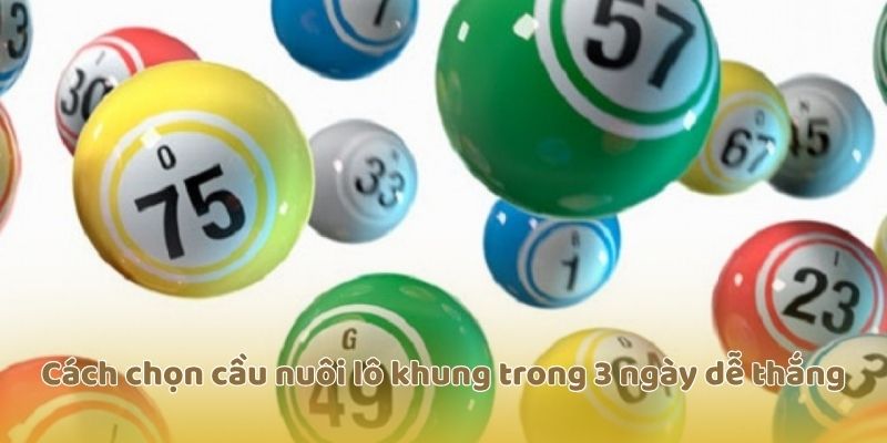 Cách chọn cầu nuôi lô khung trong 3 ngày dễ thắng