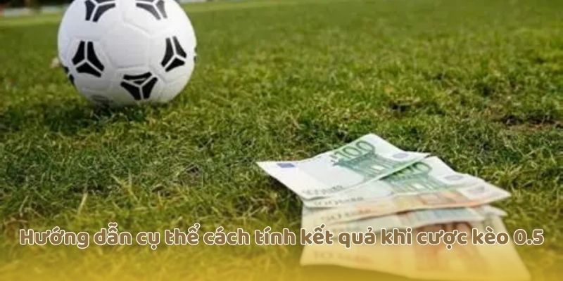 Hướng dẫn cụ thể cách tính kết quả khi cược kèo 0.5