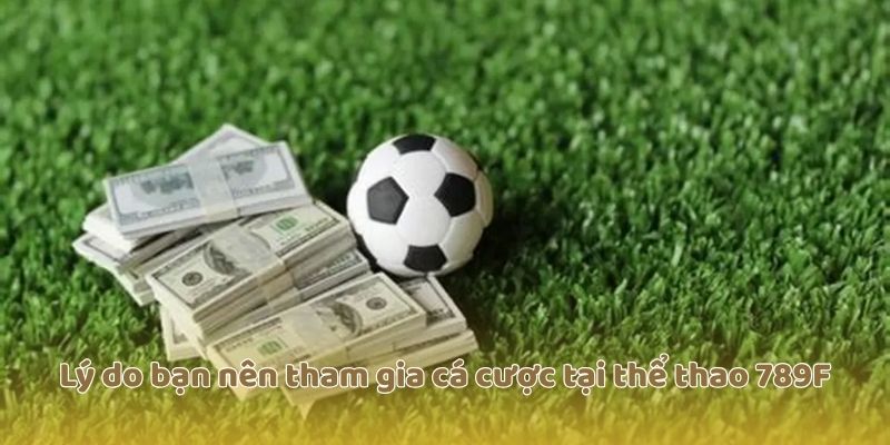 Lý do bạn nên tham gia cá cược tại thể thao 789F