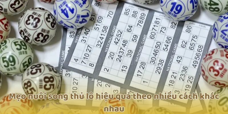 Mẹo nuôi song thủ lô hiệu quả theo nhiều cách khác nhau