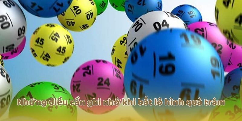 Những điều cần ghi nhớ khi bắt lô hình quả trám