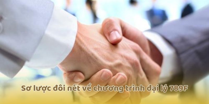 Sơ lược đôi nét về chương trình đại lý 789F