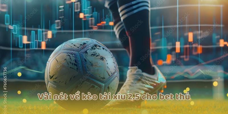 Vài nét về kèo tài xỉu 2.5 cho bet thủ
