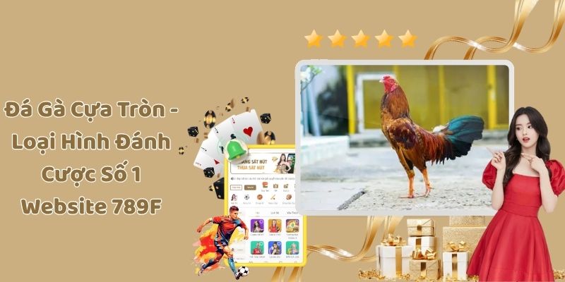 Đá Gà Cựa Tròn - Loại Hình Đánh Cược Số 1 Website 789F