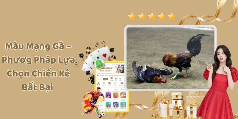 Màu Mạng Gà – Phươg Pháp Lựa Chọn Chiến Kê Bất Bại