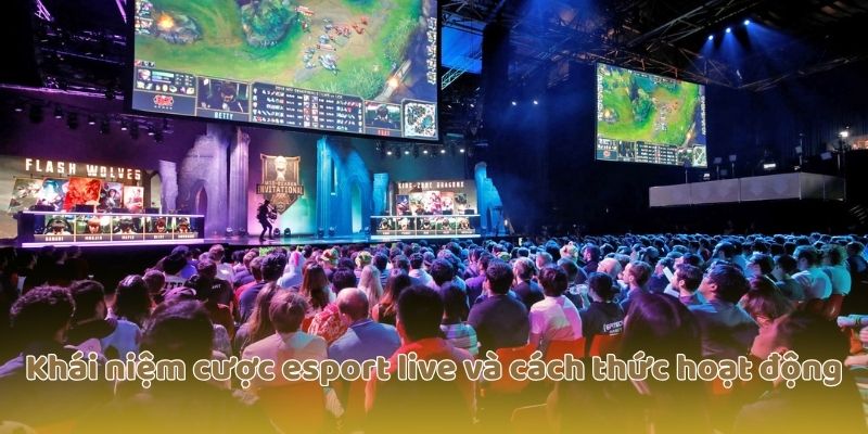 Khái niệm cược esport live và cách thức hoạt động